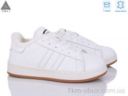 STILLI Group JH150-4 шкіра фото