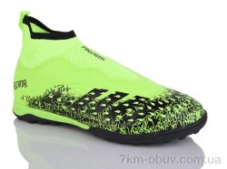 ASHIGULI 289V фото