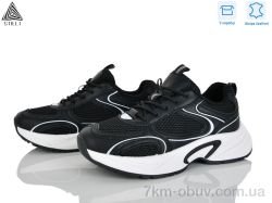 STILLI Group T10-5 шкіра фото