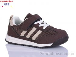 GFB-Канарейка S237-6 фото