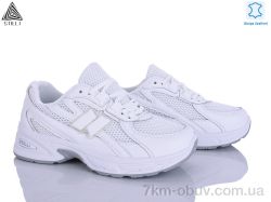 STILLI Group N370-1 шкіра фото