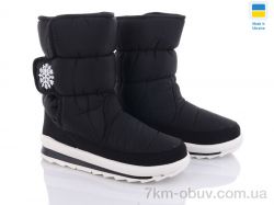 Favorit G112-8 Бп фото