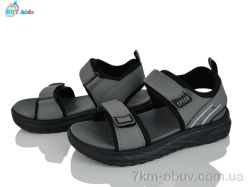 BBT L855-3-1 фото