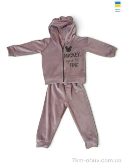 Kir15 113 сливовий фото
