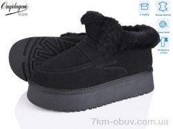 Dageni OQ011-1 фото