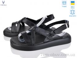 Viscala 23938 ч.ш.+ч. фото