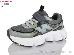 GFB-Канарейка S290-4 фото