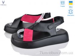 Viscala 23211 ч.ш.+мал.з. фото