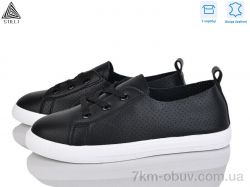 STILLI Group XB250-2 шкіра фото