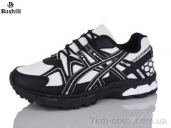 Башили Z6501-21 фото