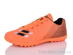 ASHIGULI C11-31 фото