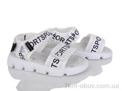 FG HL-B2008-6 фото