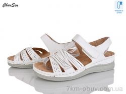 Chunsen W8206-3 фото