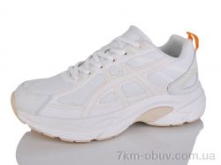 Moli B8015-1 фото