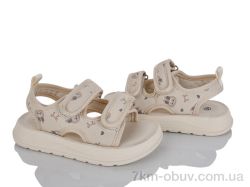 KIMBOO XD616-2M фото