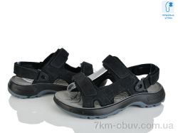 KIMBOO T62-4A фото