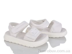 KIMBOO XD604-2C фото