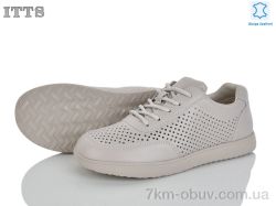 ITTS P03-8 фото