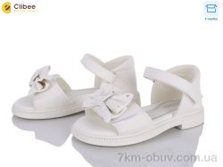 Clibee ZC173-2 фото