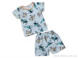 Kids-modnik 2619 комплект футболка-шорти динозавр св.сірий фото
