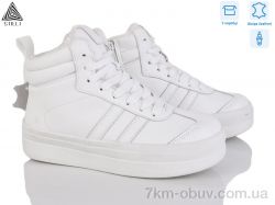 STILLI Group WA110-4 шкіра фото