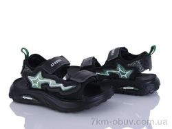 Clibee-ShoSho P3125P-1 black-green фото