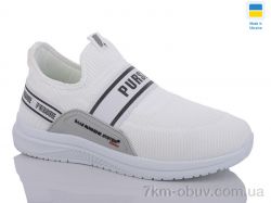 Swin 5004-2 фото