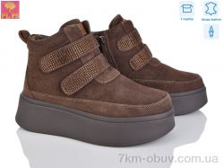 PLPS 6807-4 фото