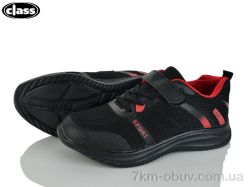 Wei Wei-Class 2602-1 фото