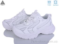 STILLI Group S100-1 шкіра фото