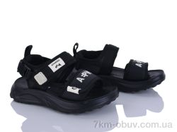 Clibee-ShoSho P3115P-1 black фото