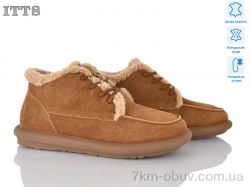 ITTS DX10-45 фото