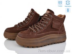 S.Sofi.S J2001-2 brown фото