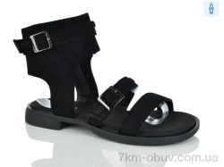 Loretta L070 фото