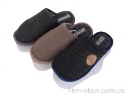 SANLIN 2 H4 mix фото