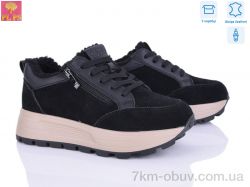 PLPS YJ681-1 фото