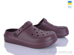 Golden Lion 161 шоколадний фото