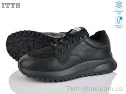 ITTS BK196-2 фото