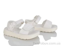 KIMBOO XD609-2C фото