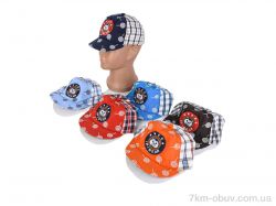 Кепочный стиль 0014-5 mix фото