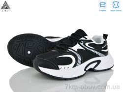 STILLI Group T30-4 шкіра фото