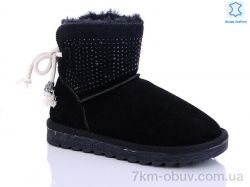 Waldem W1-100-2 black фото