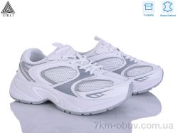 STILLI Group T50-3 шкіра фото