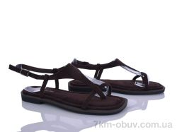 Loretta E733-2 фото