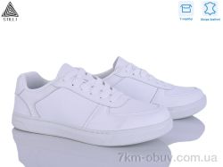 STILLI Group L180-1 шкіра фото