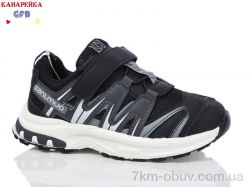 GFB-Канарейка X8005-1 фото