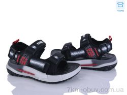 Clibee-ShoSho ZB2318-1 фото