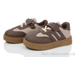 ASHIGULI 2026-1 фото