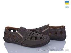 Paolla Sunshine Р3 шоколад фото