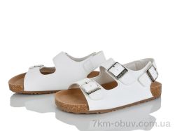 KIMBOO FG610-3C фото